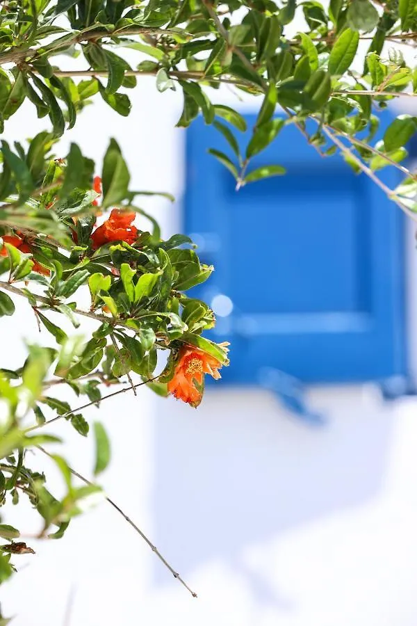 Vila Mykonos In White Mykonos Town 0*,  Řecko
